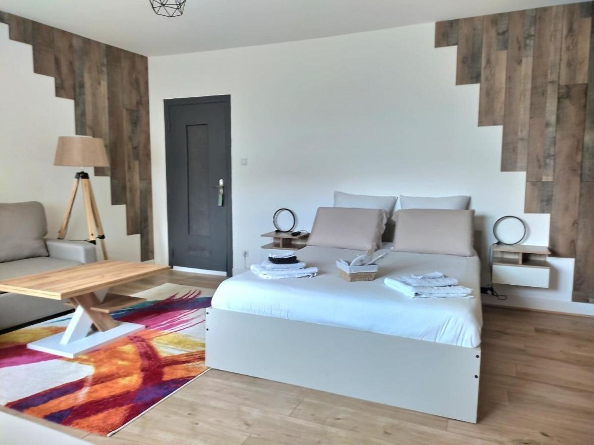 Chambre Privee 23M - Canape Lit - Wifi - Appart 120M Woippy エクステリア 写真